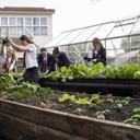 Enviroschools 8 - Thumbnail
