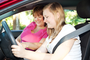 District Councils Join Forces to support Learner Drivers