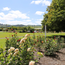 Gardens - Thumbnail