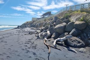 Council decides to leave Mōkau seawall as is