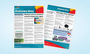 Waitomo Way Panel.png