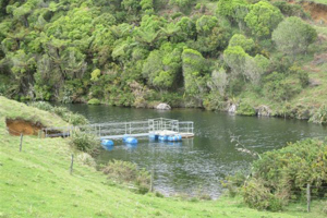 Work planned for Mokau Water Supply