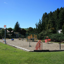 Redwood_all - Thumbnail