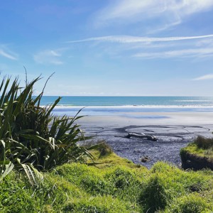 Tainui Trading Post