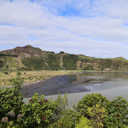 Estuary - Thumbnail