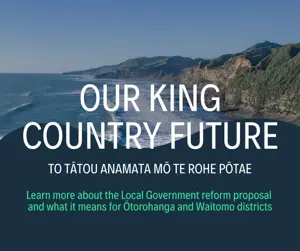 Local Government Reform