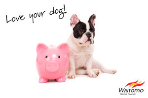 Payment Options
