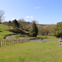 BrookPark_road - Thumbnail