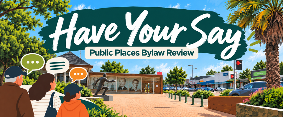 Have Your Say Web Slider